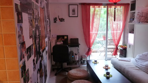 Studio in Antibes for   2 •   animals accepted (dog, pet...) 