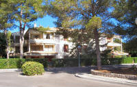 Appartement  Puerto pollensa pour  4 •   1 chambre 