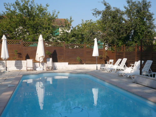 Gite Carcassonne-pomas - 8 people - holiday home