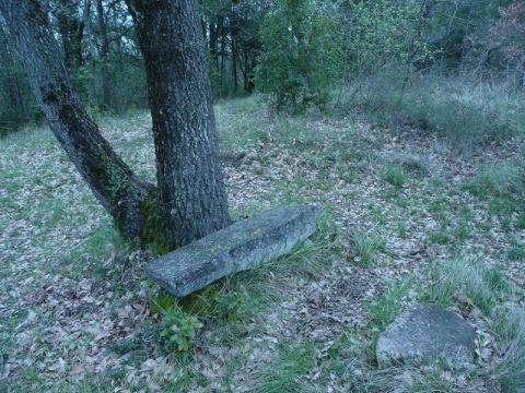 Ferme  Escueillens - Location vacances, location saisonnire n24568 Photo n11