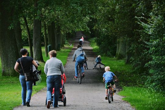 Talo (miss) Houthalen helchteren - Ilmoituksen yksityiskohdat:24663 Kuva nro10