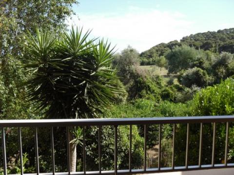 Studio in Saint mandrier sur mer - Vacation, holiday rental ad # 24908 Picture #5 thumbnail