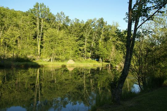 House in Sarlat - Vacation, holiday rental ad # 25387 Picture #4