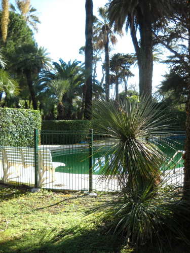 Studio in Cannes - Vacation, holiday rental ad # 25421 Picture #3 thumbnail