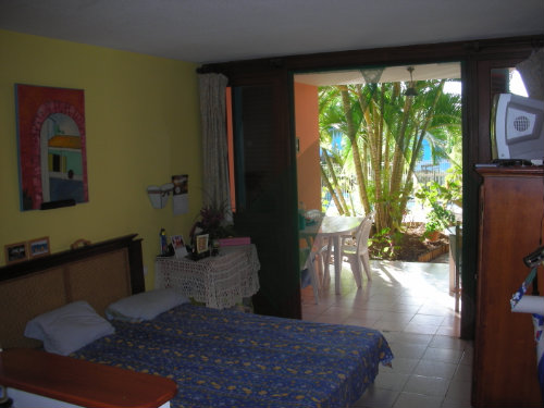 Studio in Martinique - Vacation, holiday rental ad # 25937 Picture #1 thumbnail
