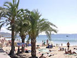 Studio in Cannes for   3 •   animals accepted (dog, pet...) 