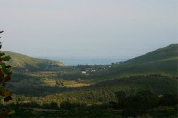 Haus in Cagnano fr  4 •   Aussicht aufs Meer 