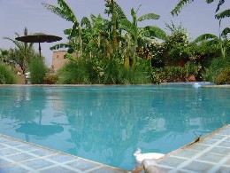 Gite  Marrakech pour  12 •   avec piscine prive 