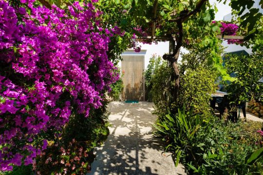 Gite à Ibiza - Location vacances, location saisonnière n°26132 Photo n°1