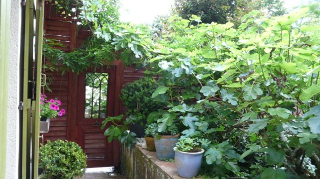 Gite � Malansac - Location vacances, location saisonni�re n�26526 Photo n�10