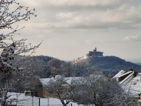 Gite in Birkenwald - Anzeige N  26813 Foto N12