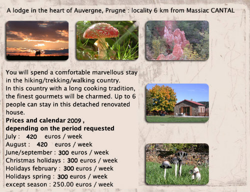 Gite in Massiac - Vakantie verhuur advertentie no 27267 Foto no 4 thumbnail