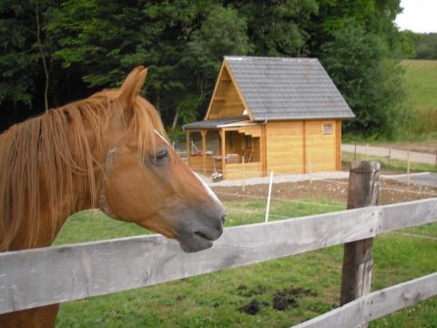 Chalet  Bazinval pour  5 •   parking priv 