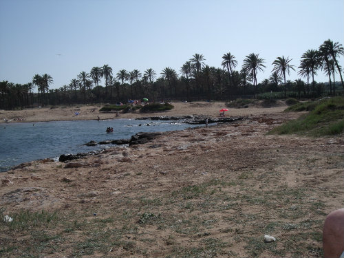 Guardamar photo