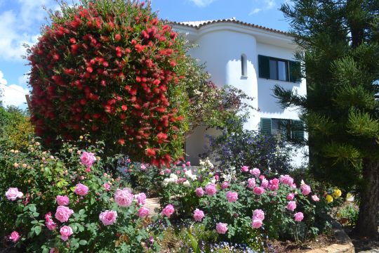 House in Quelfes Moncarapacho - Vacation, holiday rental ad # 27723 Picture #1