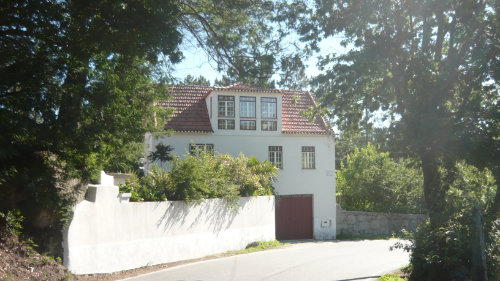 Haus Oliveira Do Hospital  - 4 Personen - Ferienwohnung