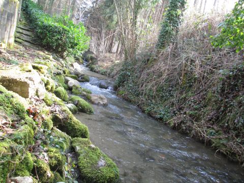 Casa rural en Montferrier - Detalles sobre el alquiler n29535 Foto n7