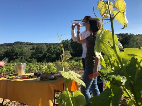 Casa rural en Puigdlber - Detalles sobre el alquiler n29777 Foto n13