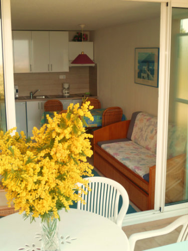Appartement à Théoule-sur-Mer - Location vacances, location saisonnière n°30382 Photo n°19 thumbnail