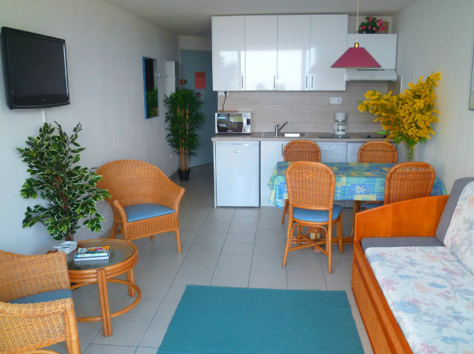 Appartement à Théoule-sur-Mer - Location vacances, location saisonnière n°30382 Photo n°4