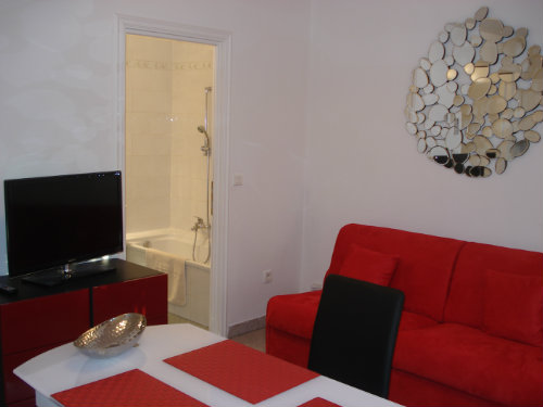 Studio in Saint Laurent du Var - Vacation, holiday rental ad # 30395 Picture #2 thumbnail
