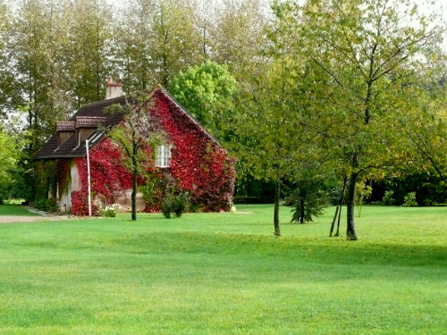 Maison Sancergues - 8 personnes - location vacances