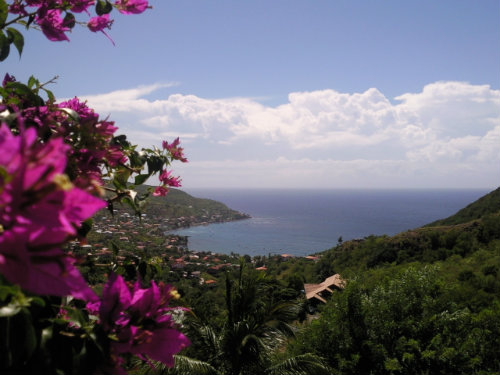 Studio  Les anses d'arlet pour  2 •   vue sur mer 