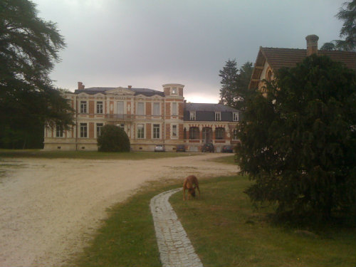 Kasteel in Salbris voor  10 •   huisdieren toegestaan (hond, kat... ) 