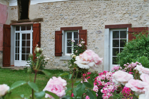 Gite in Visker for   2 •   animals accepted (dog, pet...) 