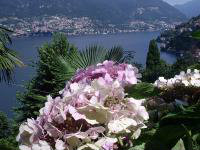 Como - blevio -    view on lake 