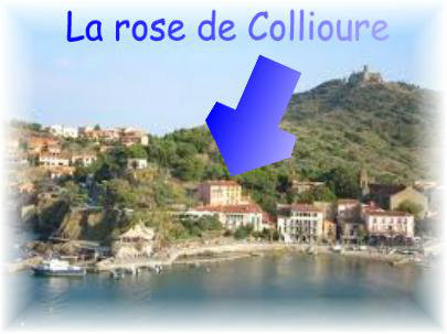 Flat in Collioure - Vacation, holiday rental ad # 31257 Picture #2