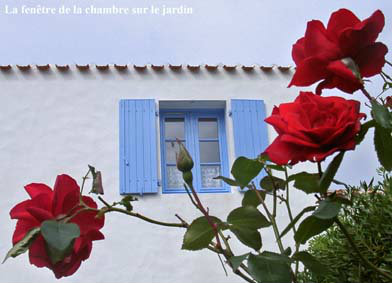 Maison  L'ile d'yeu pour  6 •   vue sur mer 