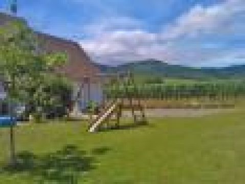 Gite  Eguisheim  - Location vacances, location saisonnire n31355 Photo n4