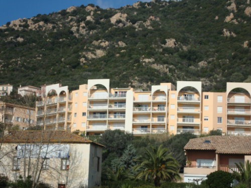 Appartement à Ajaccio - Location vacances, location saisonnière n°31614 Photo n°6