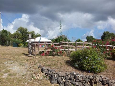 Bungalow in Sainte anne - Vacation, holiday rental ad # 31641 Picture #4 thumbnail