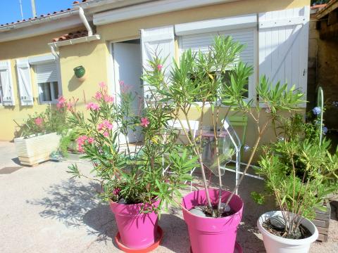 Huis in La seyne sur mer voor  4 •   met terras 