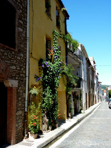 Cret: appartement  centre ville historique avec vue sur le Canigou 