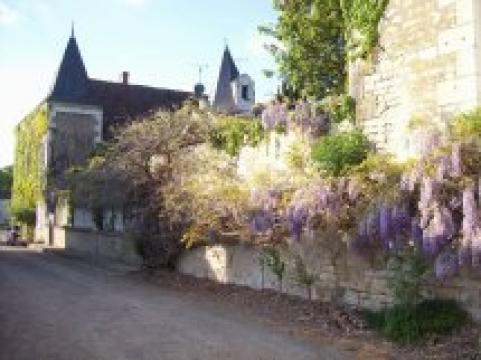 Maison  Champigny sur veude pour  10 •   avec terrasse 