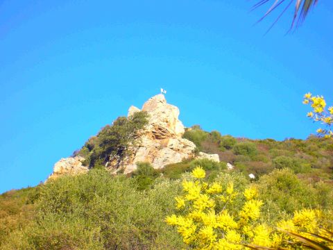 Casa rural en Ajaccio - Detalles sobre el alquiler n32167 Foto n11