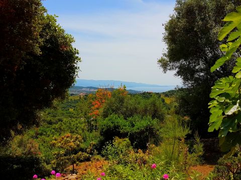 Casa rural en Ajaccio - Detalles sobre el alquiler n32167 Foto n9