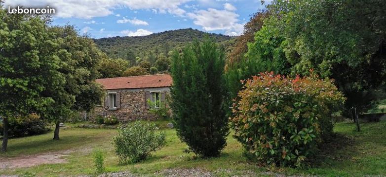 Maison  Moltifao - Location vacances, location saisonnire n32173 Photo n2