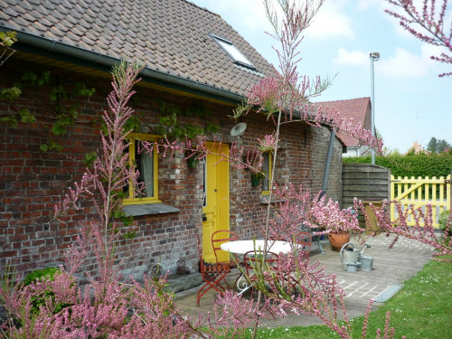 Gite Esquelbecq - 5 personen - Vakantiewoning