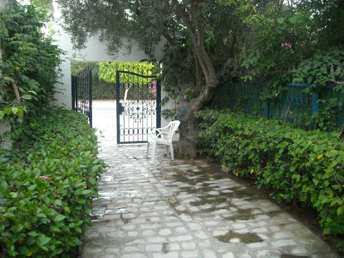 Appartement in Hammamet fr  7 •   Hohes Qualitts Niveau 