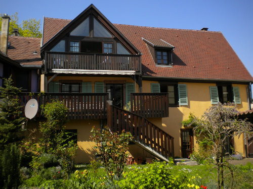 Gite Ammerschwihr 68770 - 5 personnes - location vacances