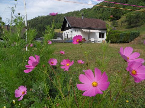 Casa rural en La Bresse - Detalles sobre el alquiler n32412 Foto n2