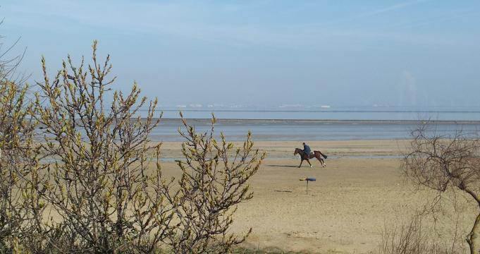 Appartement  Honfleur pour  6 •   1 chambre 