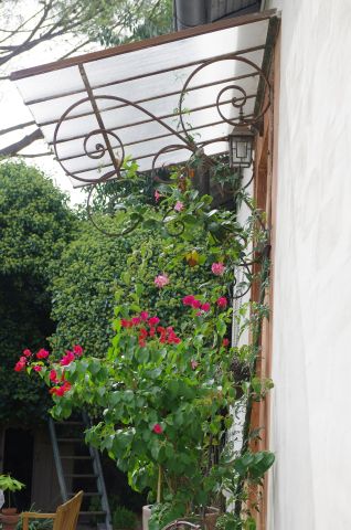 Casa en Montpellier - Detalles sobre el alquiler n32852 Foto n4