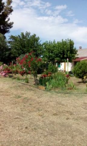 Maison  Linguizzetta - Location vacances, location saisonnire n32864 Photo n12