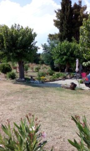 Maison  Linguizzetta - Location vacances, location saisonnire n32864 Photo n13