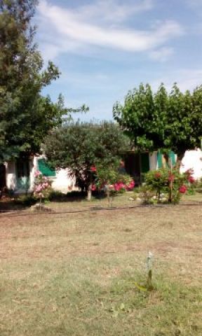 Maison  Linguizzetta - Location vacances, location saisonnire n32864 Photo n14